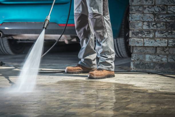 Best Sign and Awning Cleaning  in Carpentersvle, IL