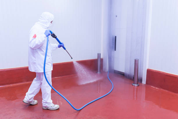 Best Building Exterior Washing  in Carpentersvle, IL